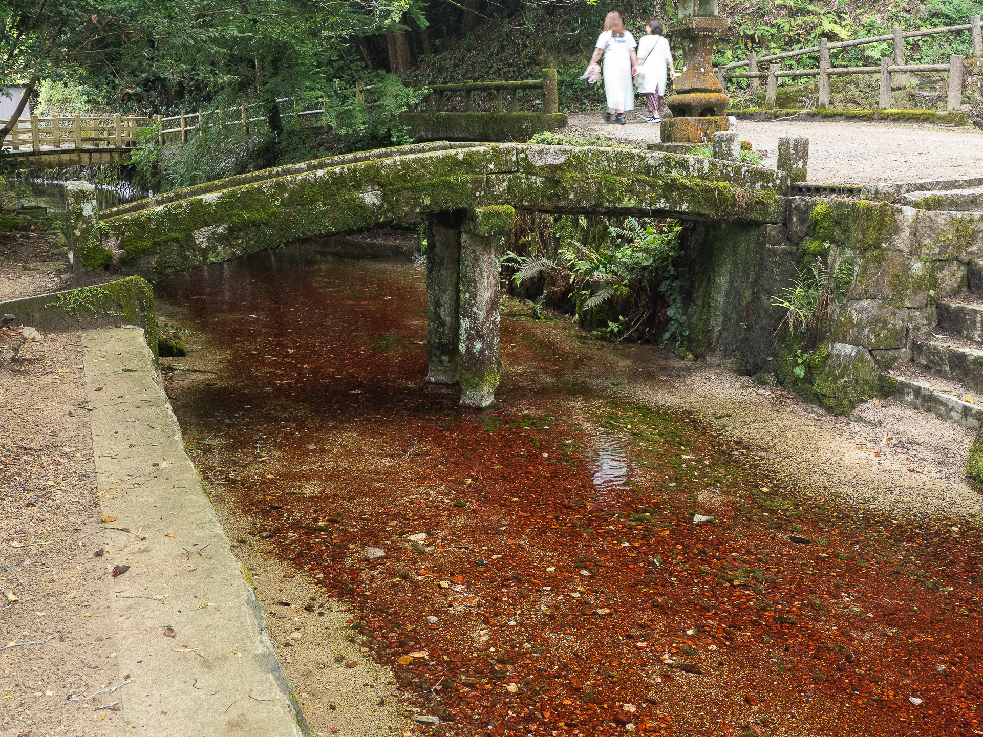 茶色く錆びたような石もあるが、これは石に着いたベニマダラという藻類。水がきれいな証