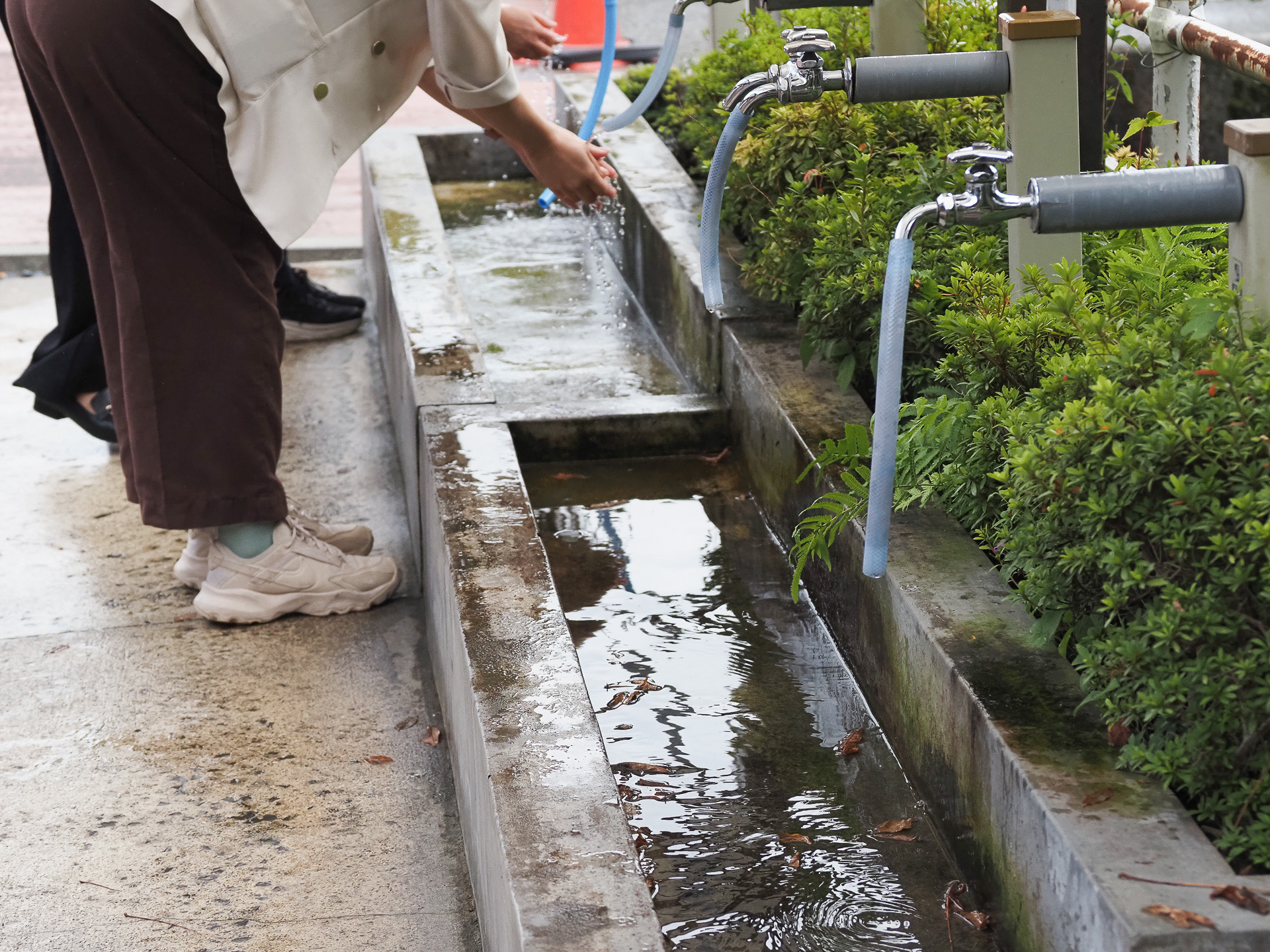 湧水は飲むことができる。水質は定期的に検査済み