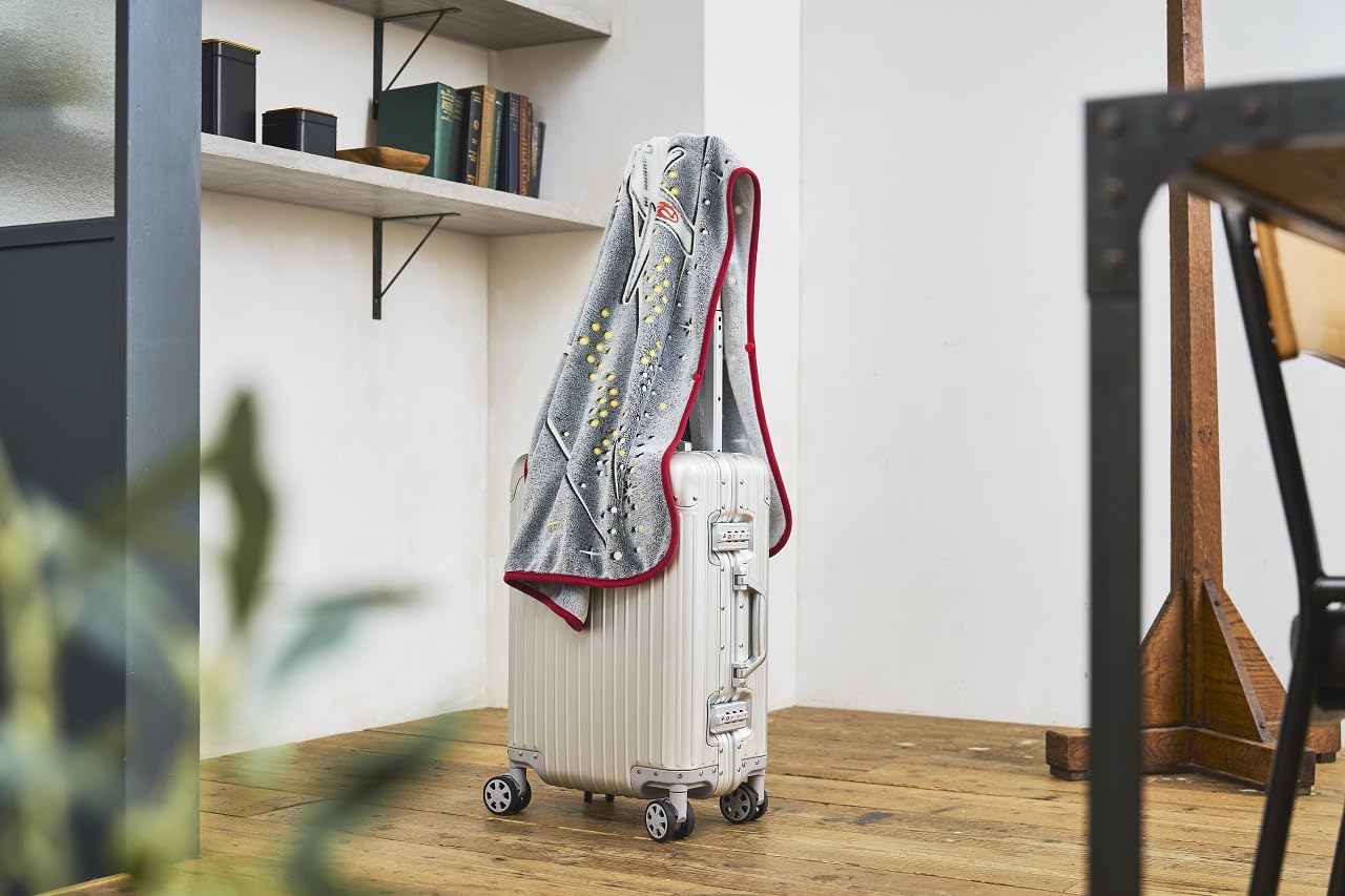 機内やドライブなど、旅のお供に1枚あると便利