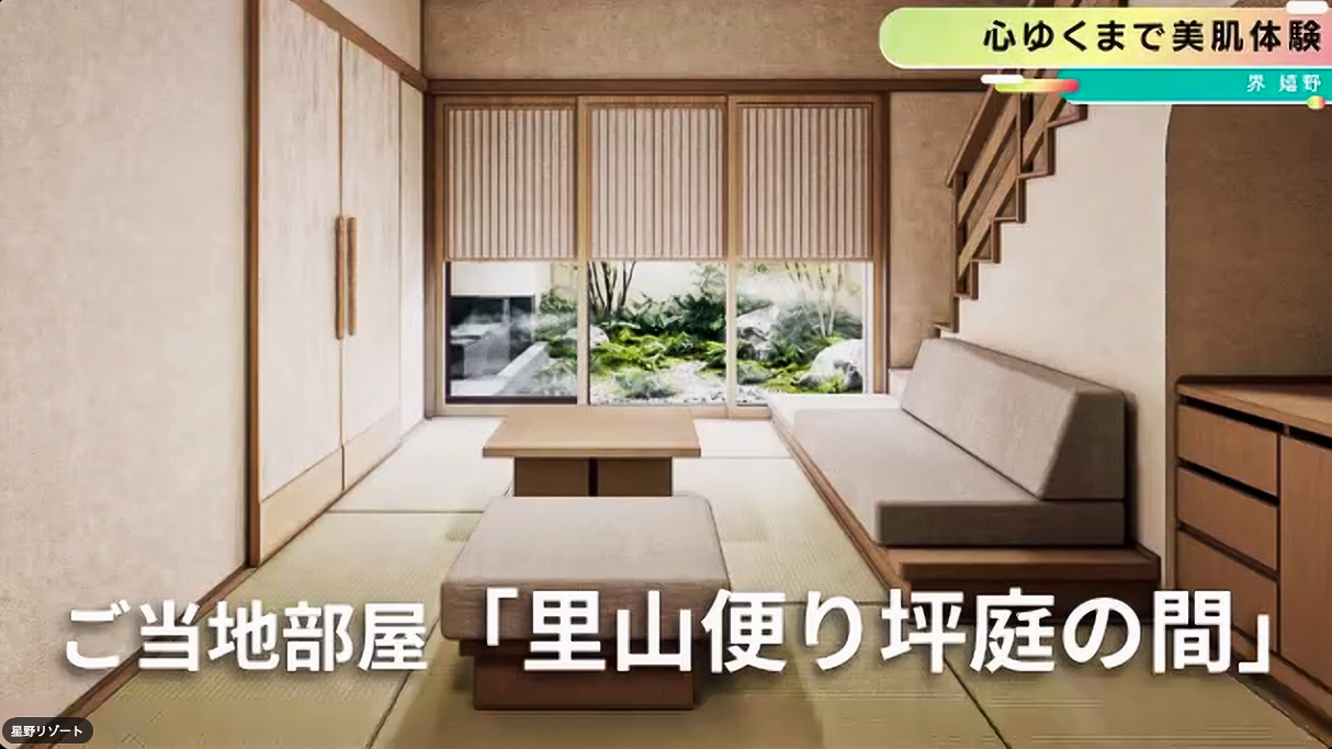 部屋の内装例。モダンな和室だ