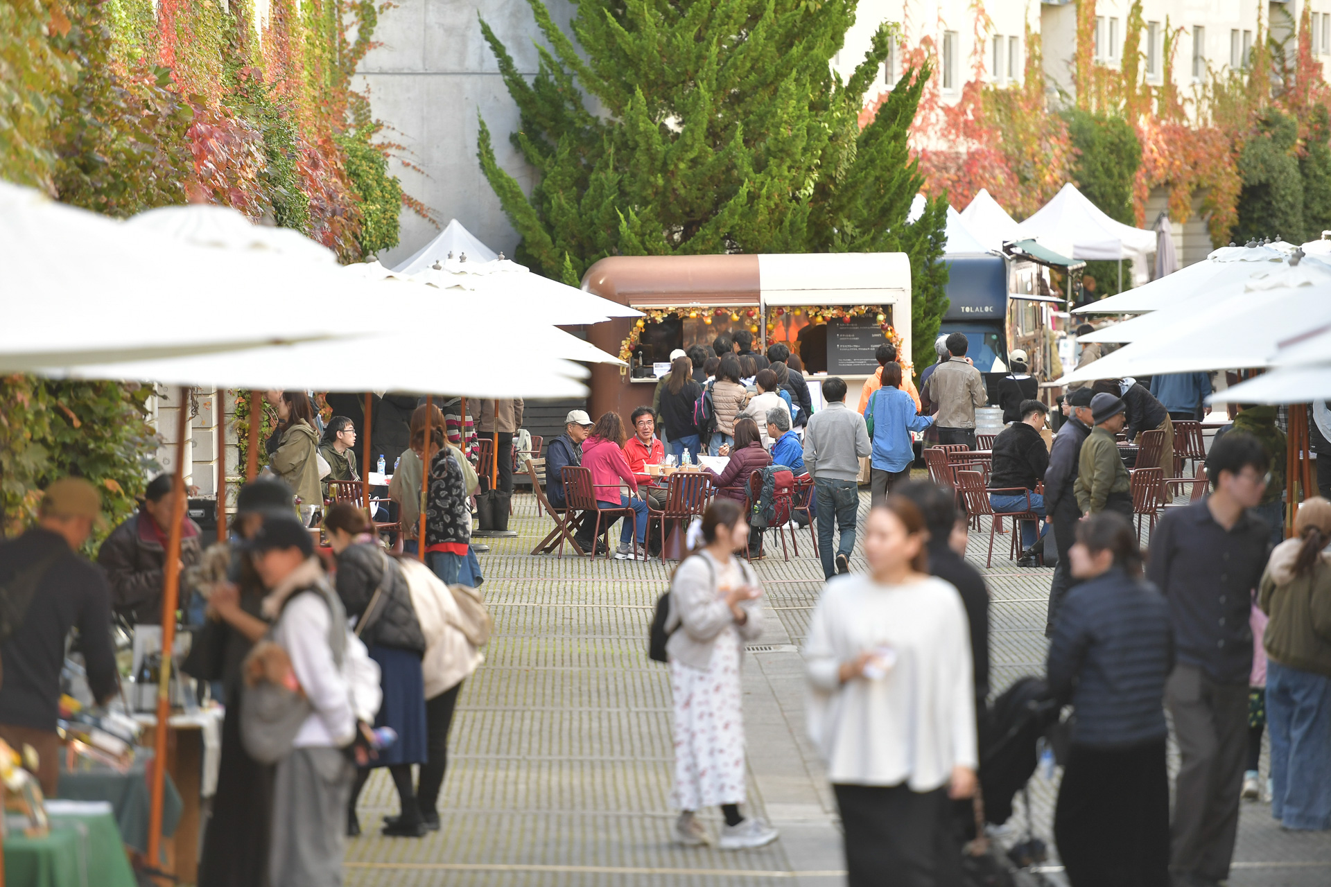 ワインフェスタ当日、ピーマン通りの両側には出店いただいたワイナリーが並ぶ