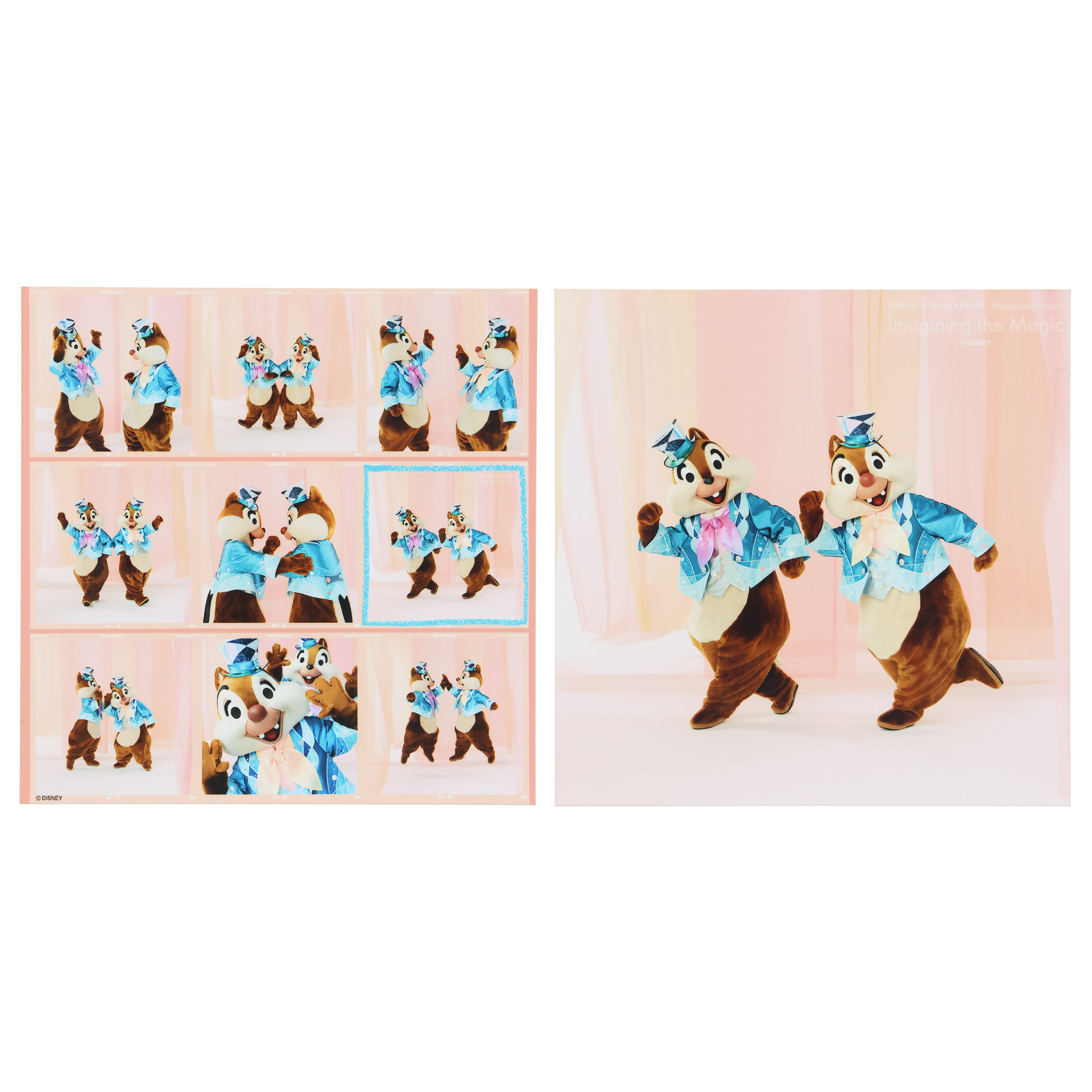 写真（スクエアサイズ2枚セット700円）