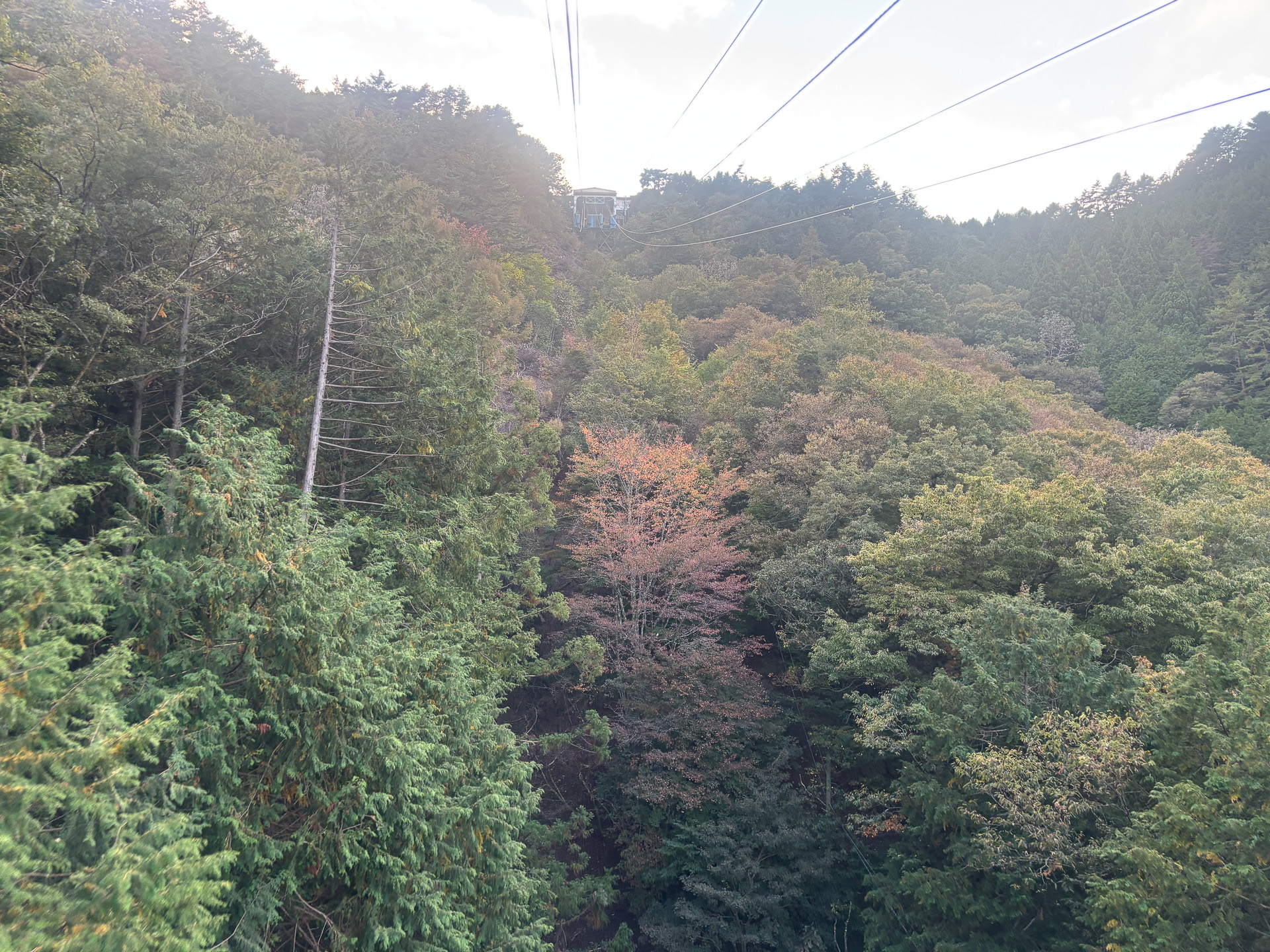 景色を楽しめるロープウェー移動