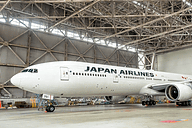 JAL東京五輪応援機「JAL FLY to 2020 特別塗装機」の発表会での嵐の
