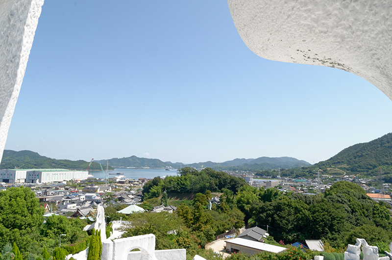 頂上から見た景色