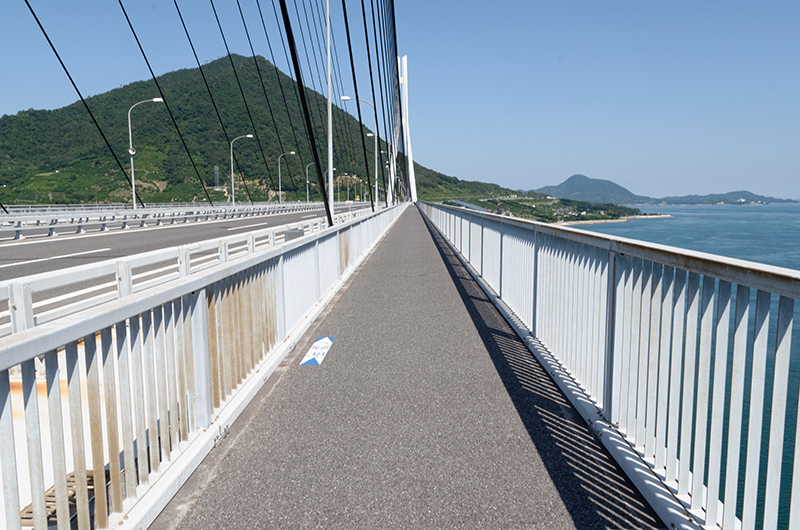 専用サイクリングロードで快適に走ることができる