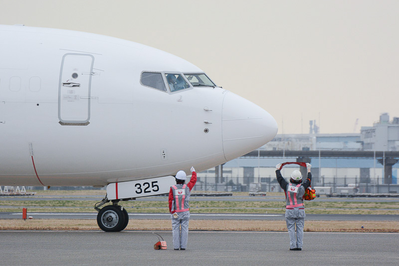 2015年のひなまつりフライトの様子