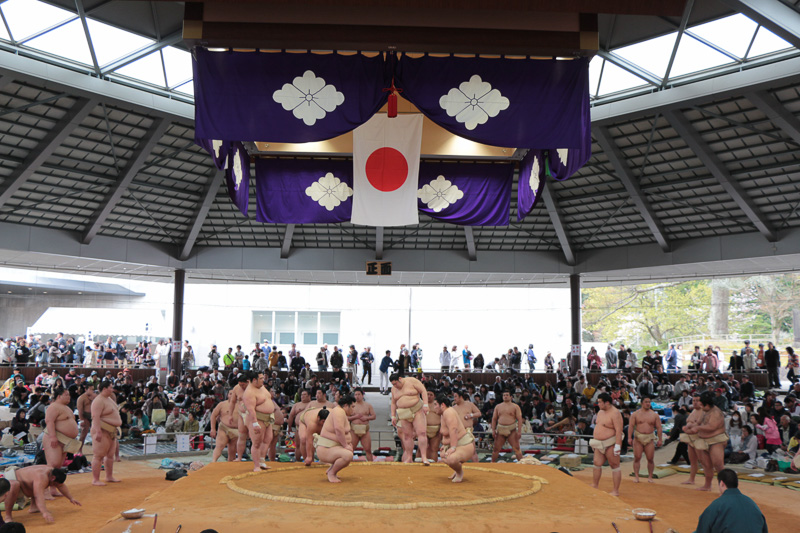 サミット目前の伊勢市で「桜めぐり プレスツアー」に参加（その1