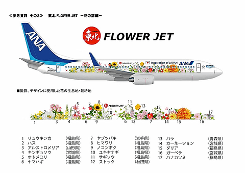 ANAが5月14日に運航開始する「東北 FLOWER JET」が完成間近