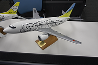 AIR DO、北海道の四季をコンセプトにした特別塗装機「ベア・ドゥ北海道