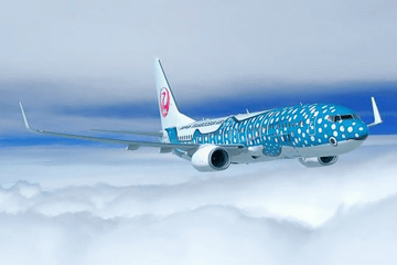 JAL日本トラスト オーシャン航空 日本トランスオーシャン航空 Boeing 737-200 JA8250 岡山空港