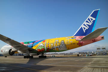 ANA、特別塗装機「HELLO 2020 JET」を羽田～福岡線から就航 1月