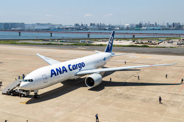 ANA Cargo B777F 貨物機 BLUE JAY 1/400 - メルカリ