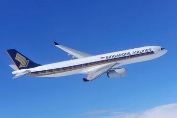 ripiさん用! シンガポール航空／+オレンジほぬ ripiさん用! シンガポール航空／+オレンジほぬ