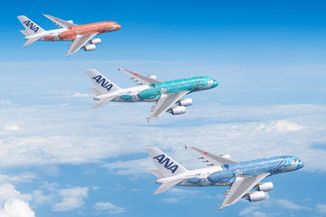 ウミガメが間もなくハワイへ。ANAのエアバス A380型機「FLYING