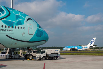 日本とハワイを笑顔で結ぶ。ANA A380型機「FLYING HONU（空飛ぶ