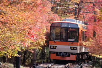 叡山電車×東方Project。5日からコラボラッピング車両・大型