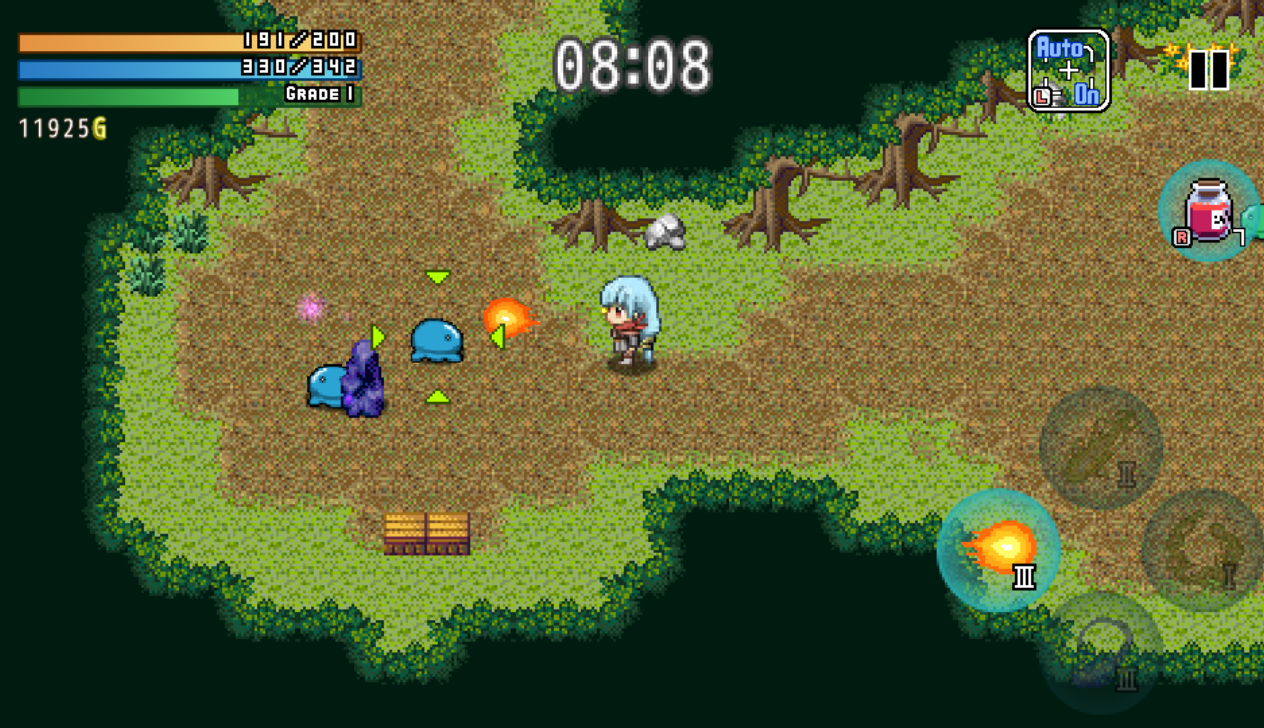 多彩な魔法を駆使して戦うアクションゲーム