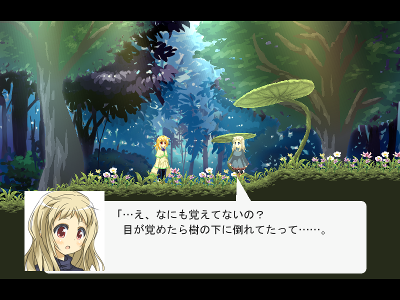 森の中で出会う少女ルミナ。彼女によると、ここは流星群によってできた地下空洞にある森なのだという