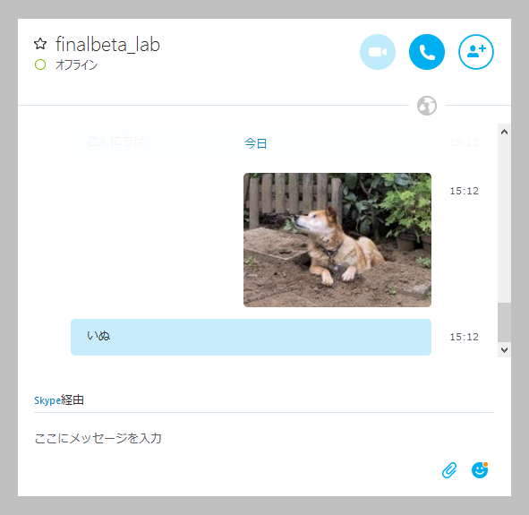 「Nana」で切り抜いた「Skype」のウィンドウ。フォーカスがない状態では枠が非表示となる