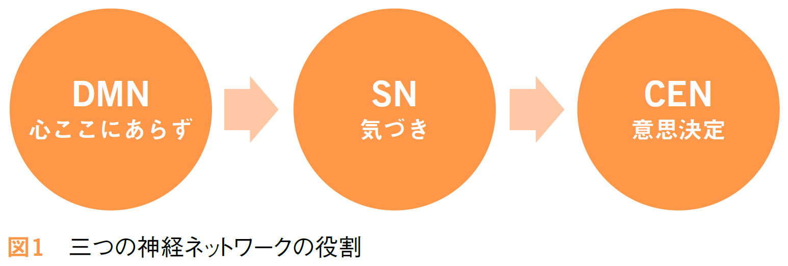 図1：三つの神経ネットワークの役割