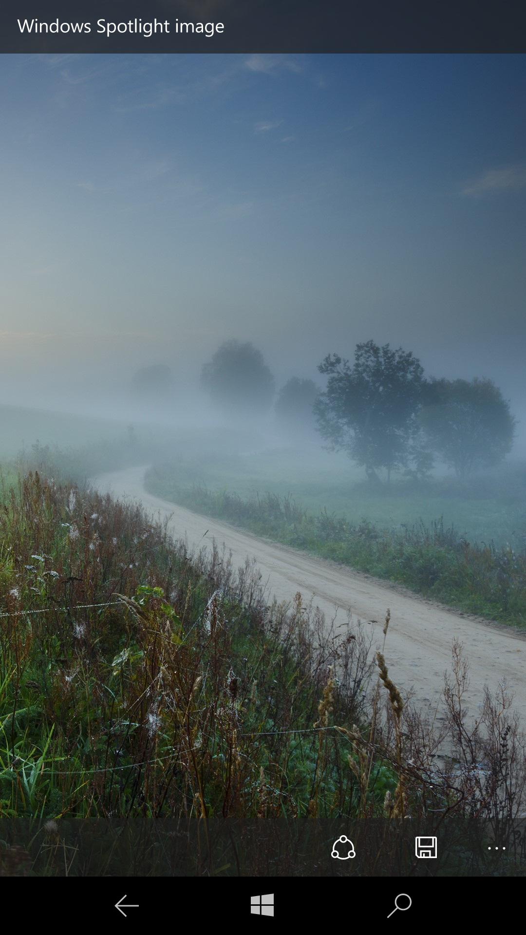 選択後は［Update now］ボタンと［Preview of the daily image］ボタンの2つが現れる。こちらは後者のボタンをタップし、設定される画像を確認した状態