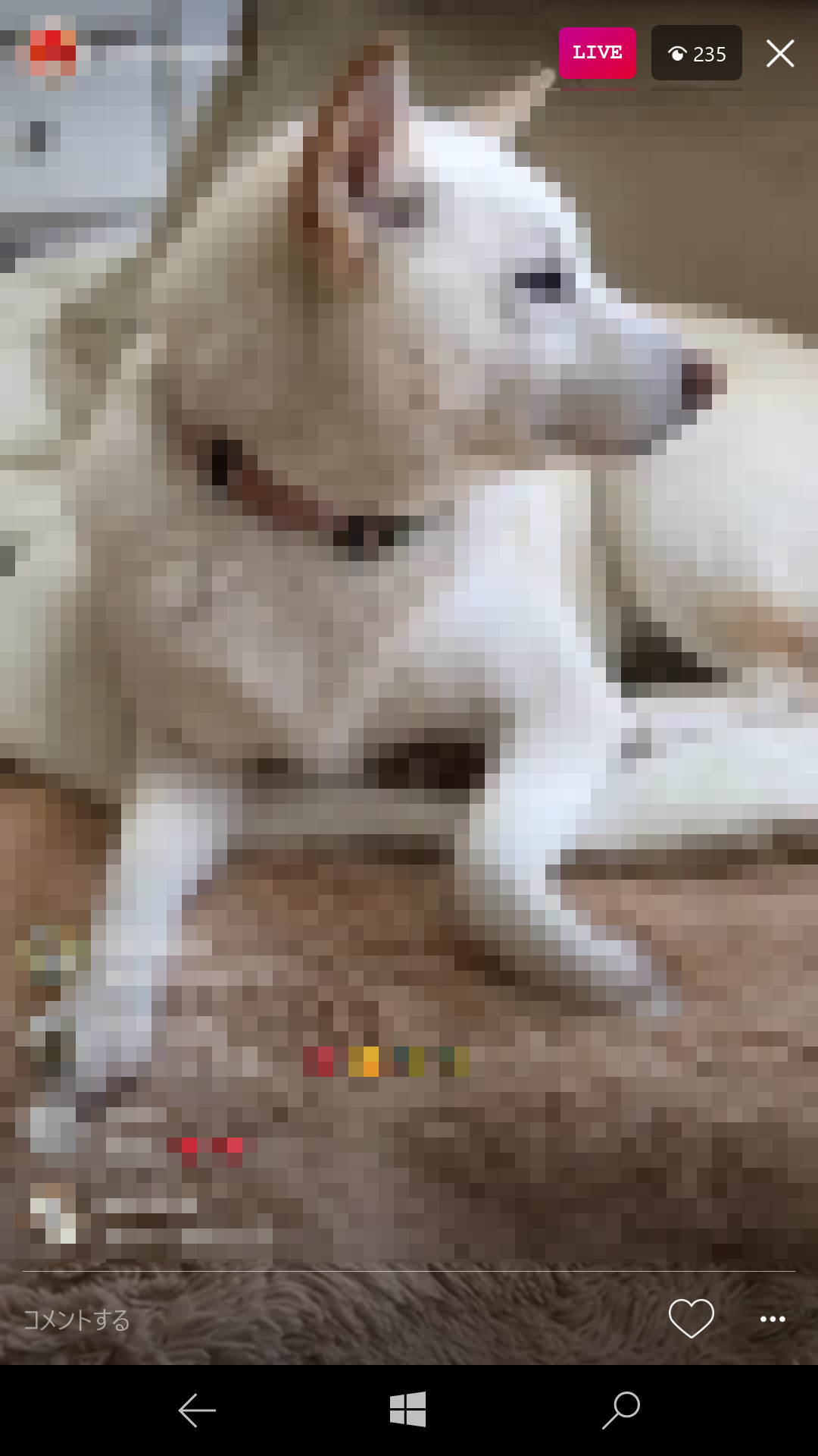 新機能か確認できなかったものの、他ユーザーのライブ配信の視聴やコメント投稿も可能だった