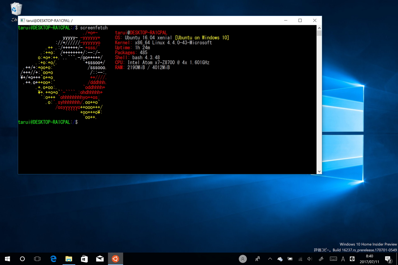 「Ubuntu」を実行した様子