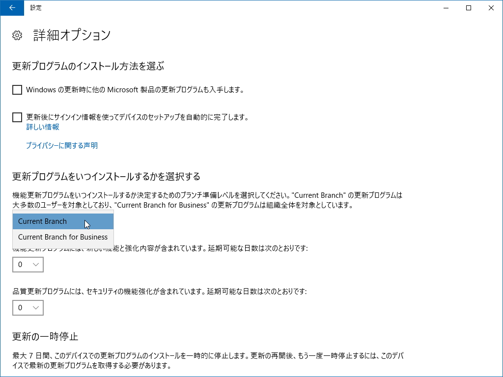 ［詳細オプション］画面