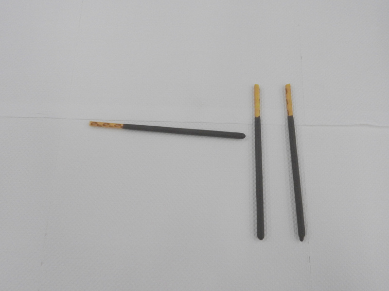 このようにポッキーを白い紙の上に並べる。チョコレートのついてる方向に進めという命令になる
