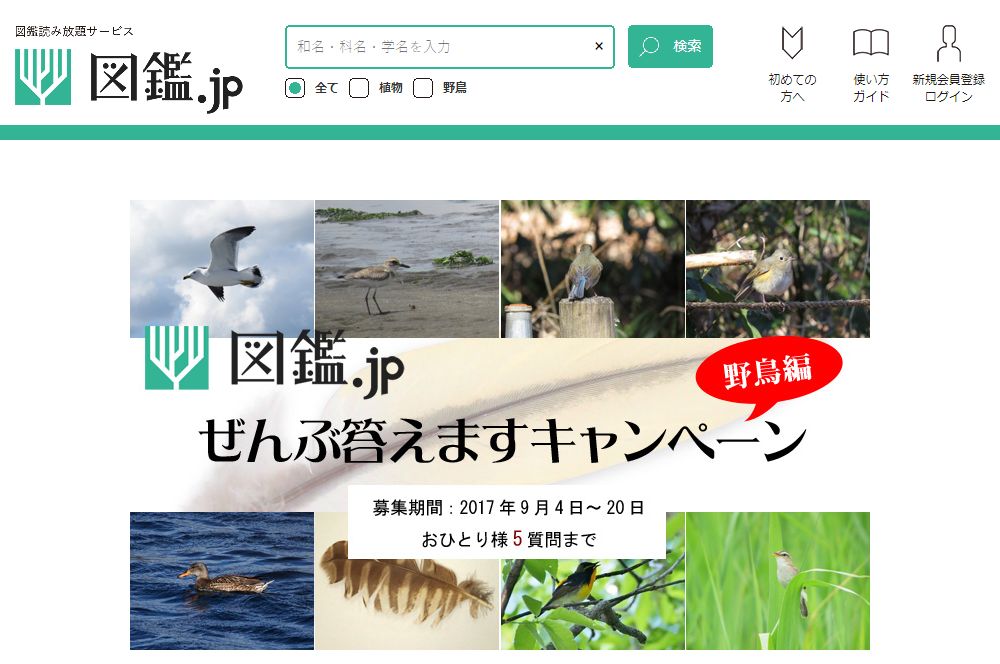 “野鳥の名前、ぜんぶ答えますキャンペーン”