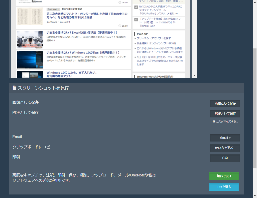 キャプチャーが完了するとプレビューが表示されるとともに、保存形式やその他のオプションを選ぶ画面が表示されます