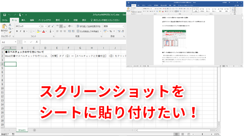 Excel効率化】スクリーンショットの撮影→挿入をエクセルだけで！画像 