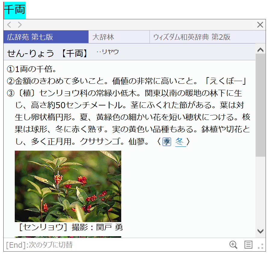 “プレミアム”エディションでは『広辞苑 第七版』などの辞書を検索・参照可能