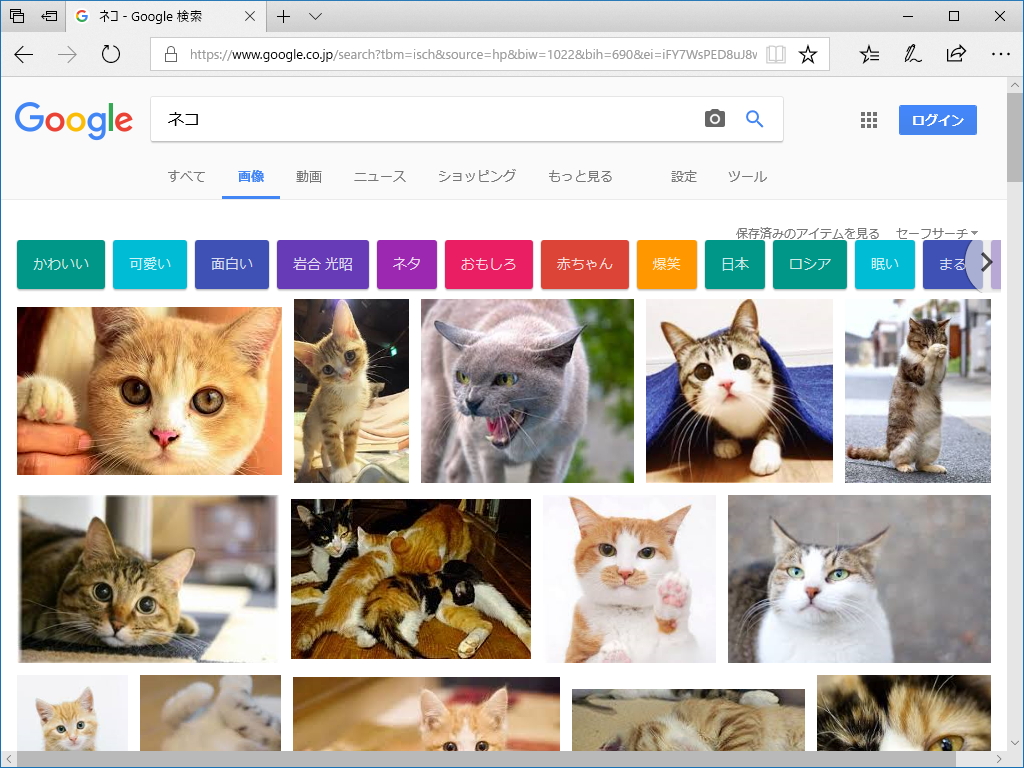 “Google 画像検索”がアップデート？