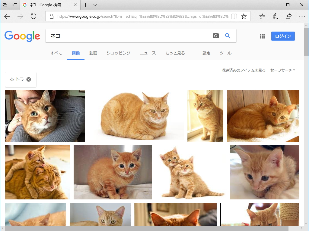 試しに“茶トラ”タグを選択