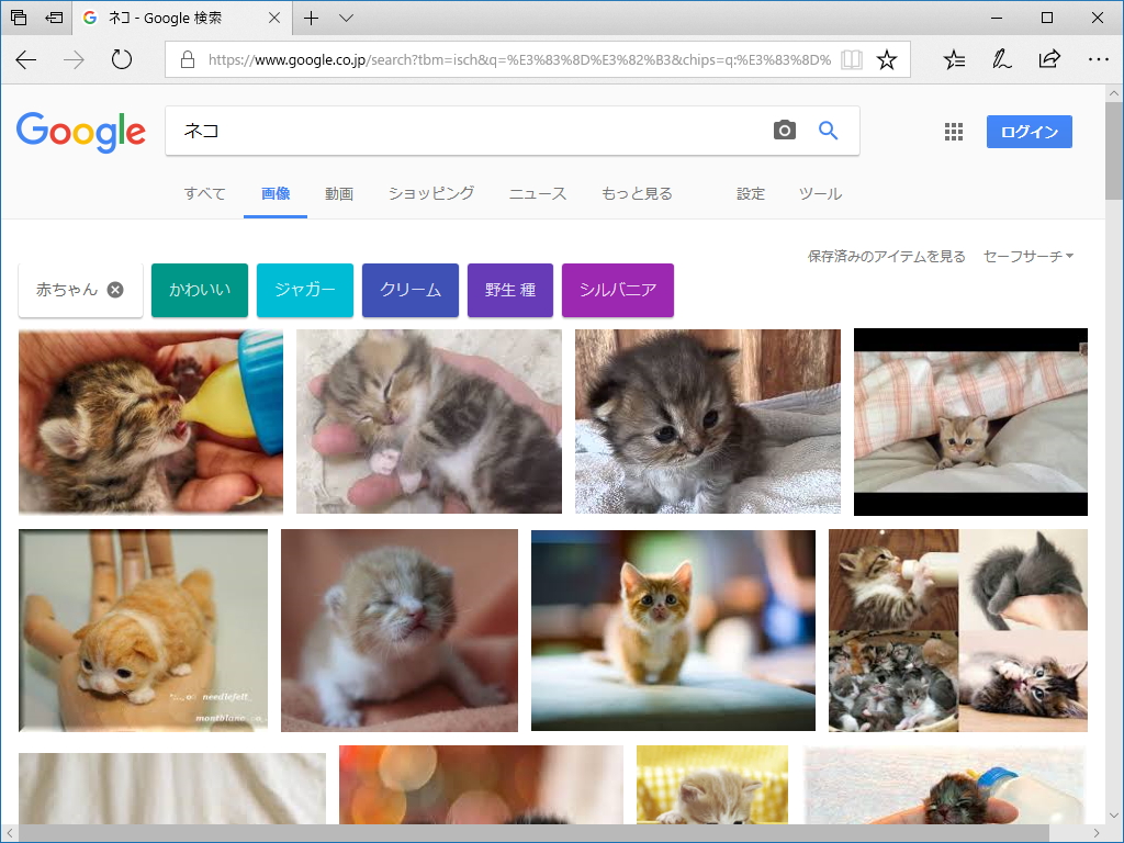 ネコの赤ちゃんだけをフィルタリングできる“赤ちゃん”タグ。見てるだけで顔がほころんでしまいますね