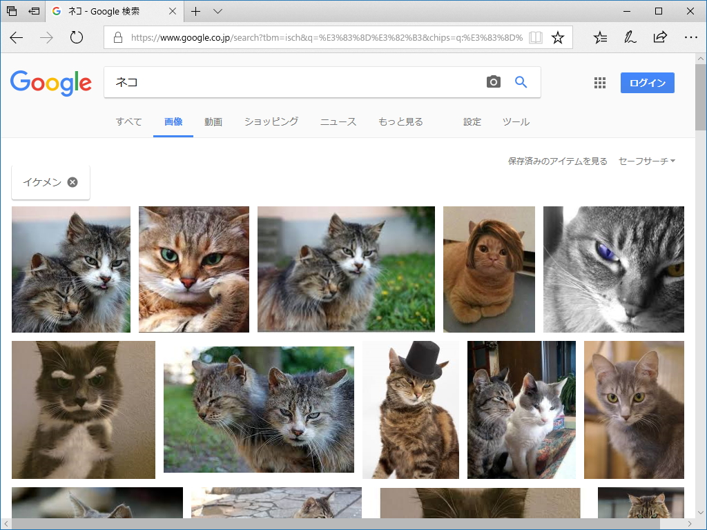 “イケメン”タグでカッコいいネコを検索