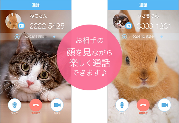 iOS版「SkyPhone」にビデオ通話機能が追加（同社ブログより引用）