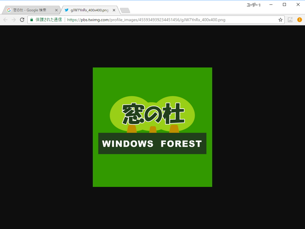 ［View image］ボタンを押すと新規タブに画像だけが表示される