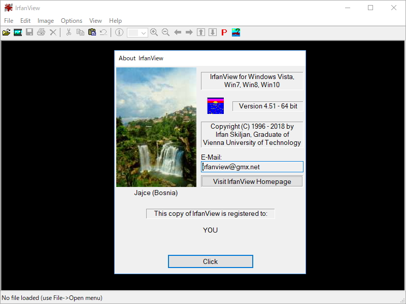 「IrfanView」v4.51