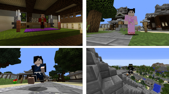 『戦国スキンパック』