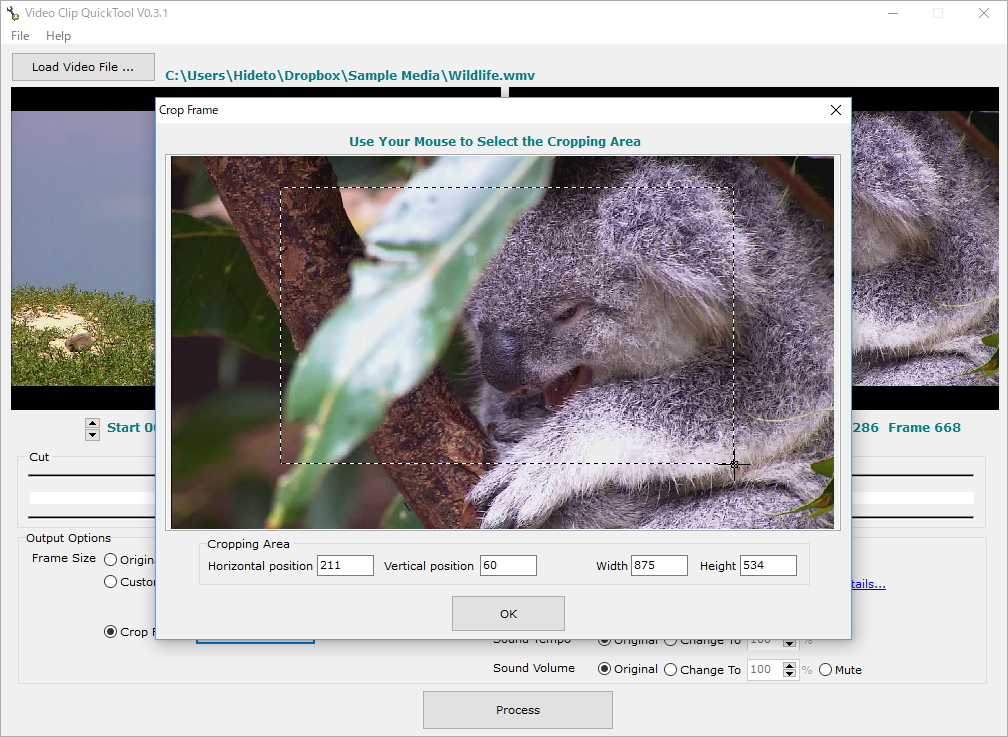 ビデオクリップのクロップ