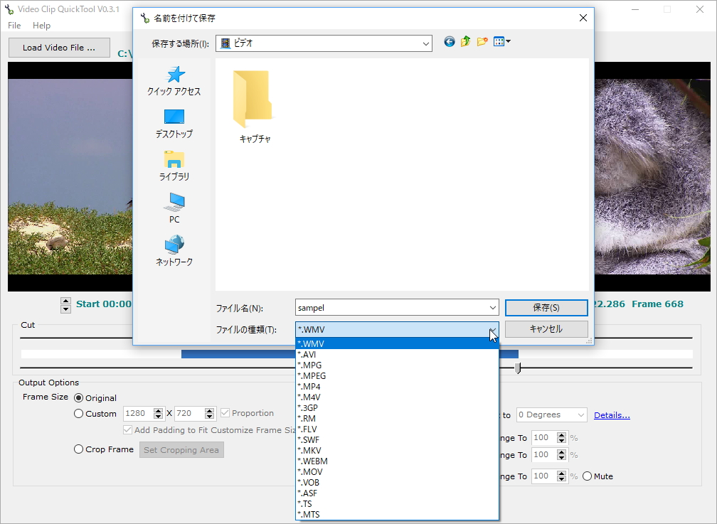 変換した動画の出力。対応フォーマットは17種類と豊富