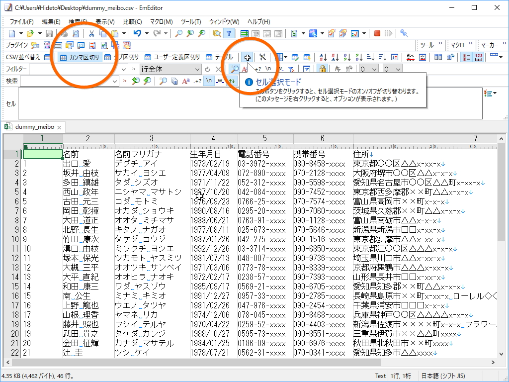 ［カンマ区切り］オプションと［セル選択モード］が有効になった「EmEditor」