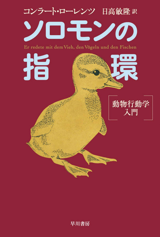 『ソロモンの指環　動物行動学入門』