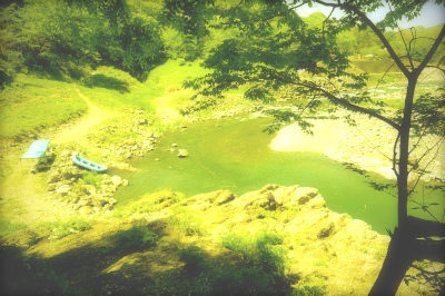 “ポラロイド風”で加工した例（「縮小専用AIR」のみの機能）