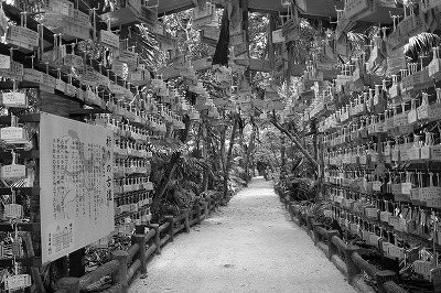 “モノクロ”で加工した例