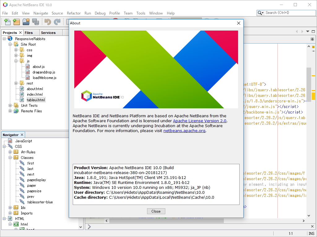 「Apache NetBeans 10.0」