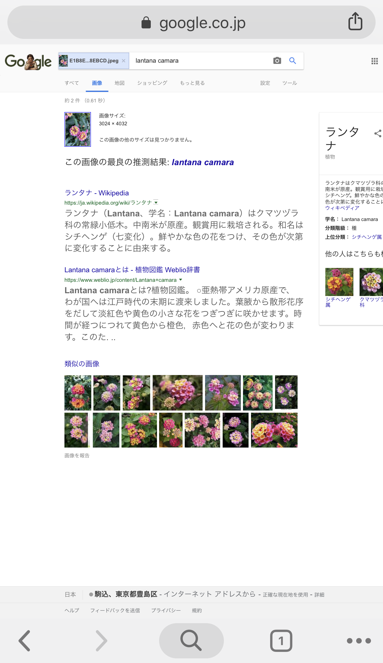 Google画像検索の検索結果